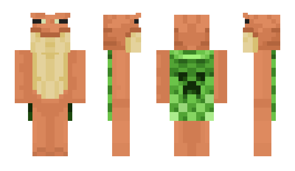 Minecraft skin TIRTIRVILLA