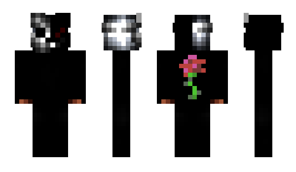 Minecraft skin _Roses_