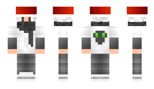 Minecraft skin The_EnderKiller_