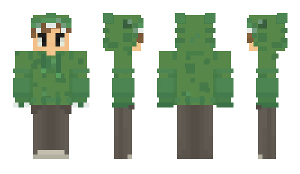 Minecraft skin Nerddo