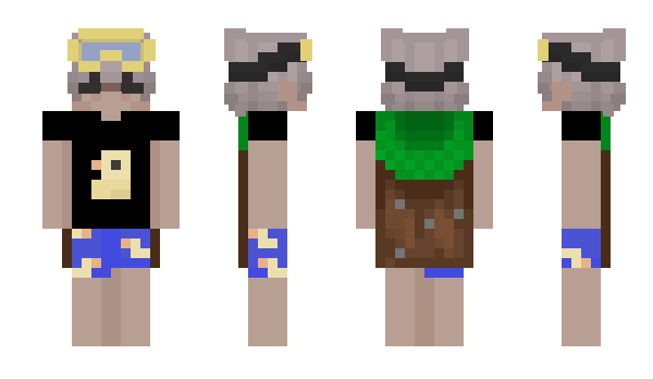 Minecraft skin Blazejeg