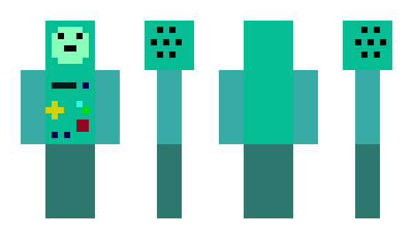 Minecraft skin ShyGuyGamer