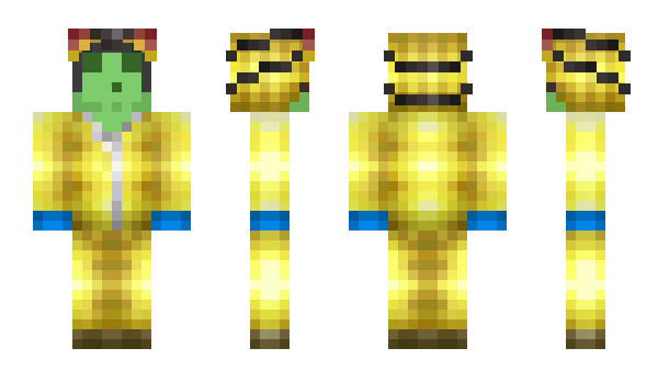 Minecraft skin WonTwothree