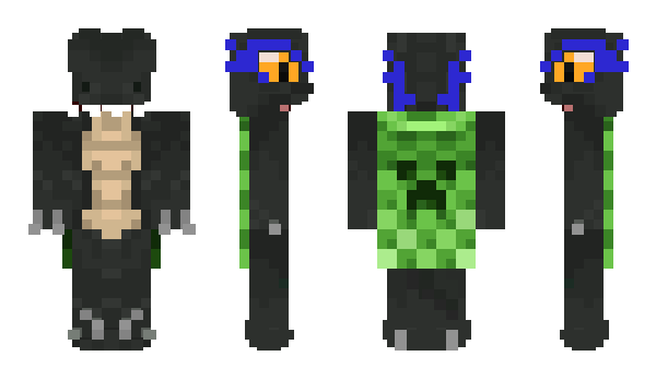 Minecraft skin L4nd