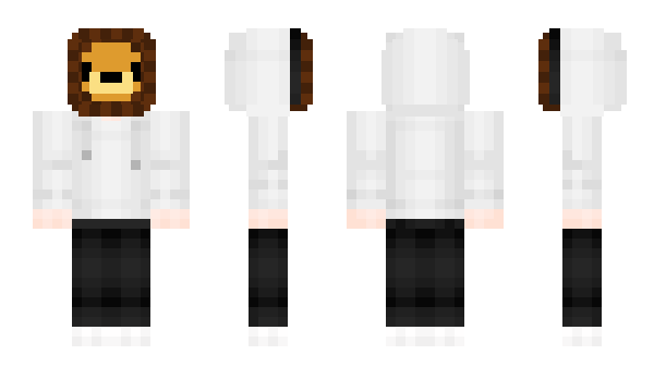 Minecraft skin Pro_Lion