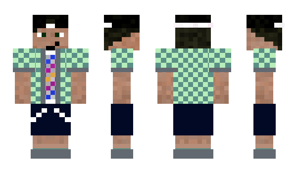 Minecraft skin _SI_x