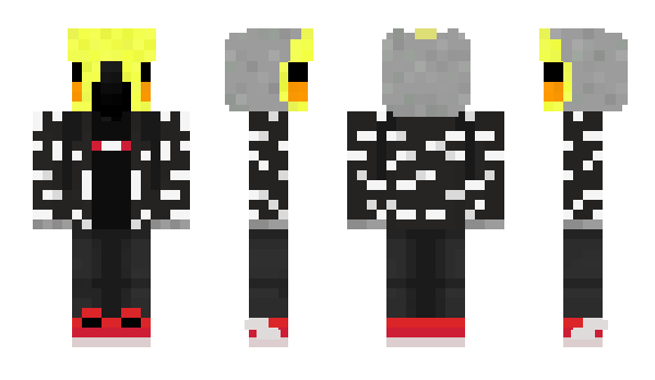 Minecraft skin dingussbingus