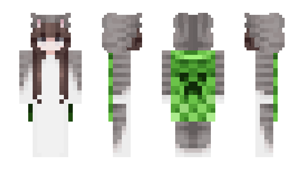 Minecraft skin goodcatmAAdkitti