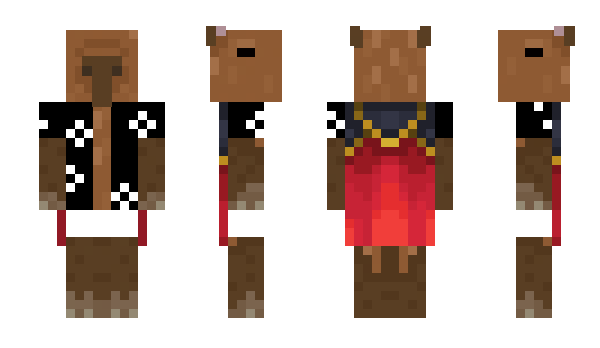 Minecraft skin DunaRaider