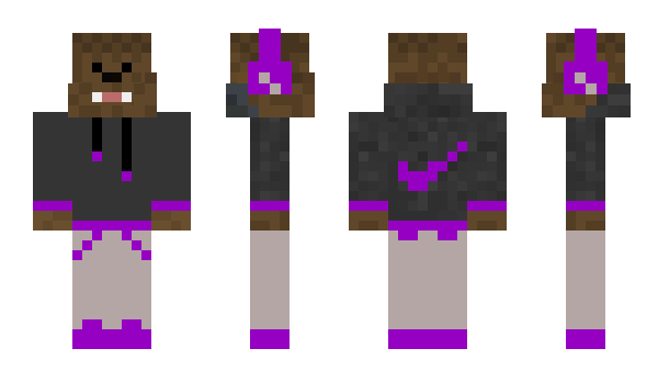 Minecraft skin SFJF