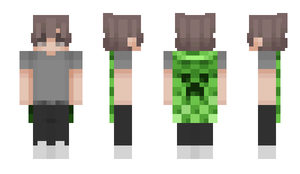 Minecraft skin Fluffy9788