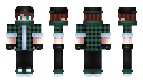 Minecraft skin audm