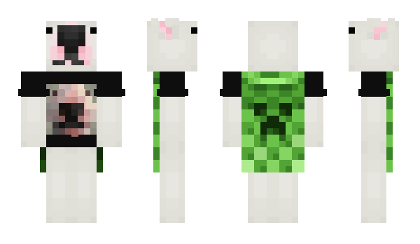 Minecraft скін по ніку D0cchi