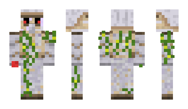 Minecraft skin endarmor