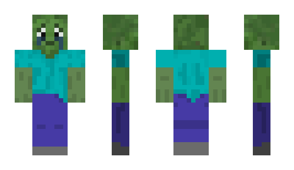 Minecraft skin DaCreeperReeper