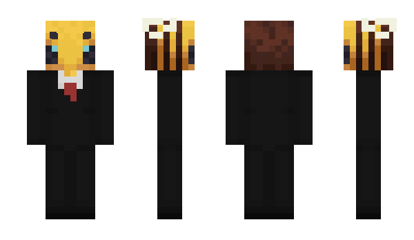 Minecraft skin kmms