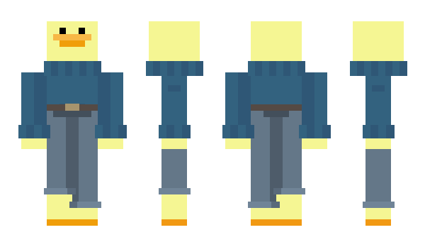 Minecraft skin tokmi