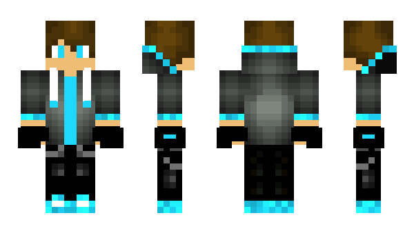 Minecraft skin Hergamer