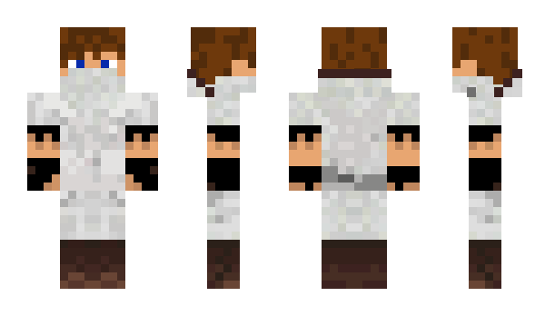 Minecraft skin conversion