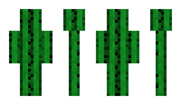 Minecraft skin Kaktus3