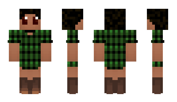 Minecraft skin Tollbooth