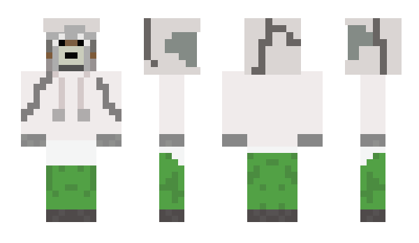 Minecraft skin Simcraft00