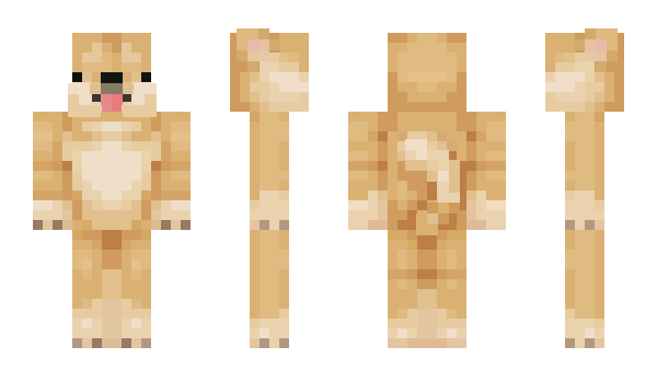 Minecraft skin Dogi_