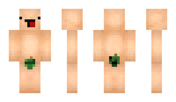 Minecraft skin Panze