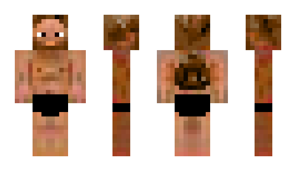 Minecraft skin mc57127
