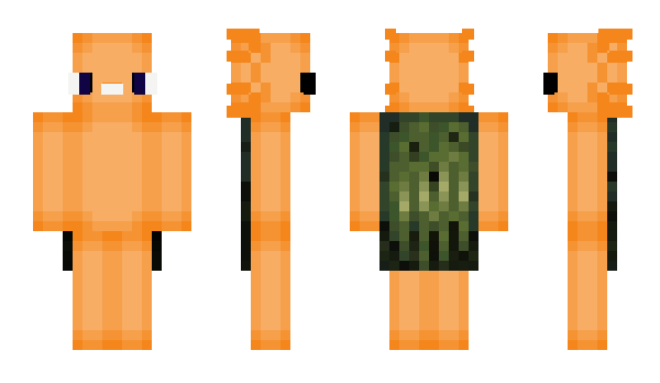 Minecraft скін по ніку Crazyboy5659