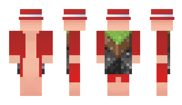 Minecraft skin Pardalzo