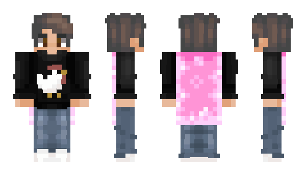 Minecraft skin bradenrds