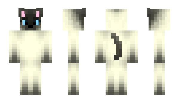 Minecraft skin Zwigq