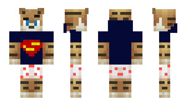 Minecraft skin ZeerG