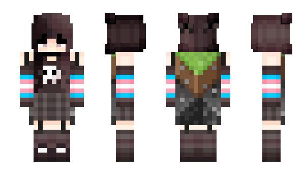 Minecraft skin Valervee