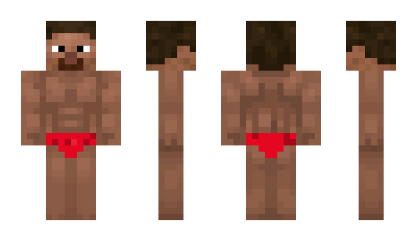 Minecraft skin habin