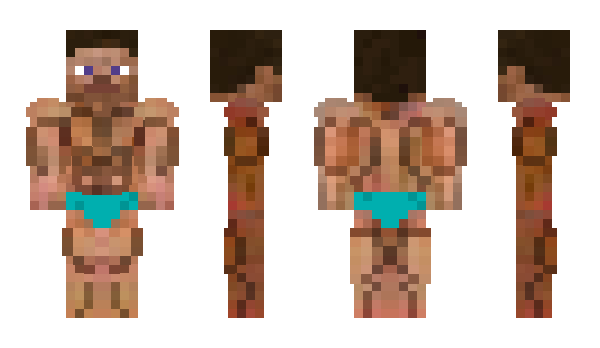 Minecraft skin HV