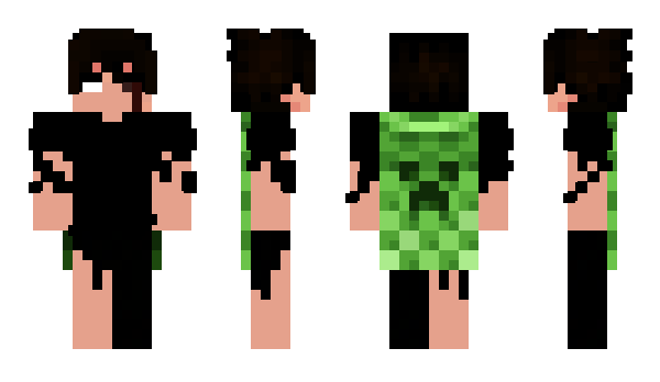 Minecraft skin dollarzl