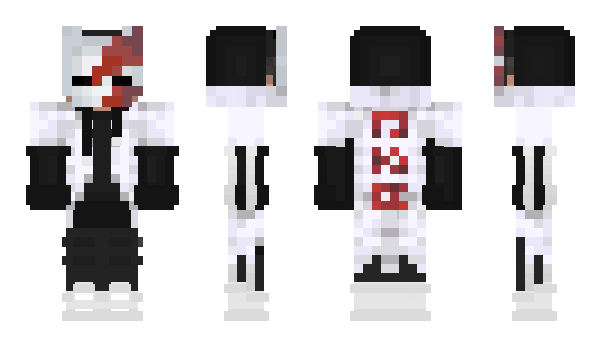 Minecraft skin Stormaire