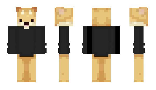 Minecraft skin Phentom