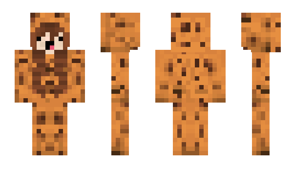 Minecraft skin elfowl123