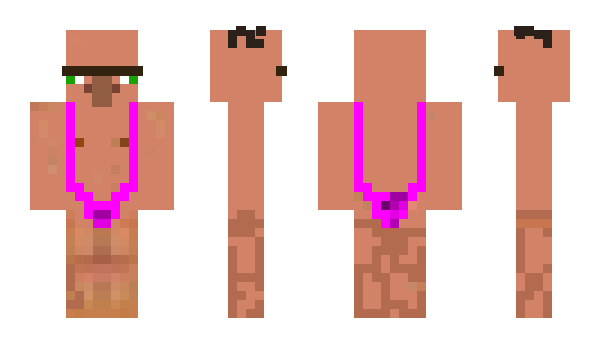 Minecraft skin endakid