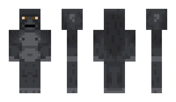 Minecraft skin Seets
