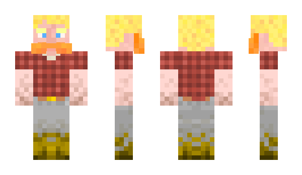 Minecraft skin Sherts