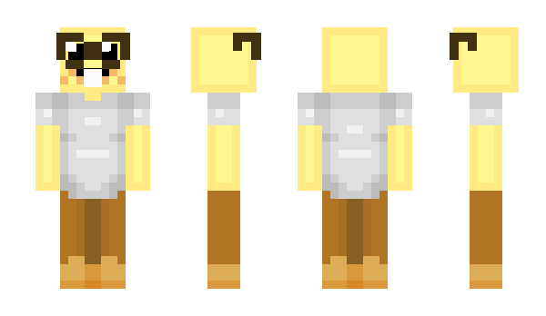 Minecraft skin AerenaiAlt3
