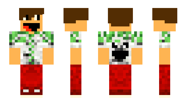 Minecraft skin ProBrunEk