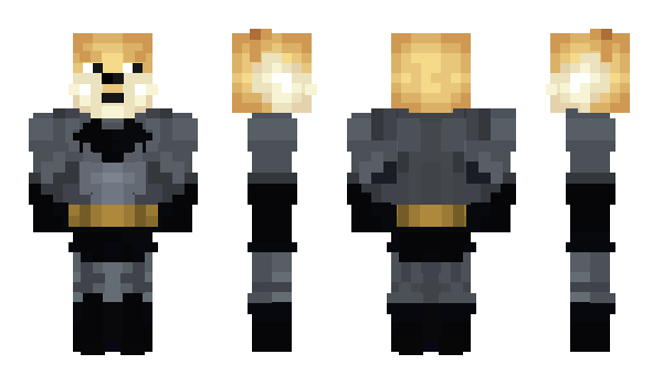 Minecraft skin ASM194