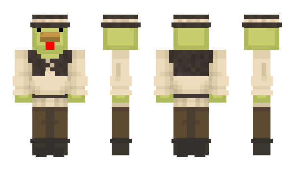 Minecraft skin Joypok