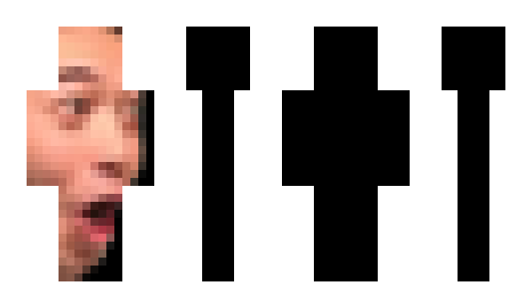 Minecraft skin birb0