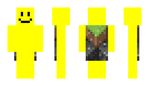 Minecraft skin nyhre